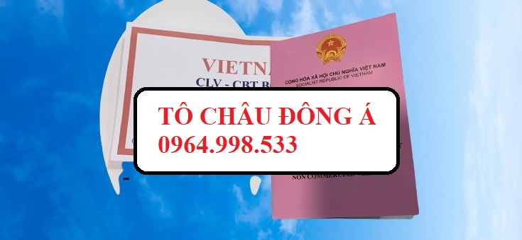 Giấy phép liên vận Việt Lào Cam
